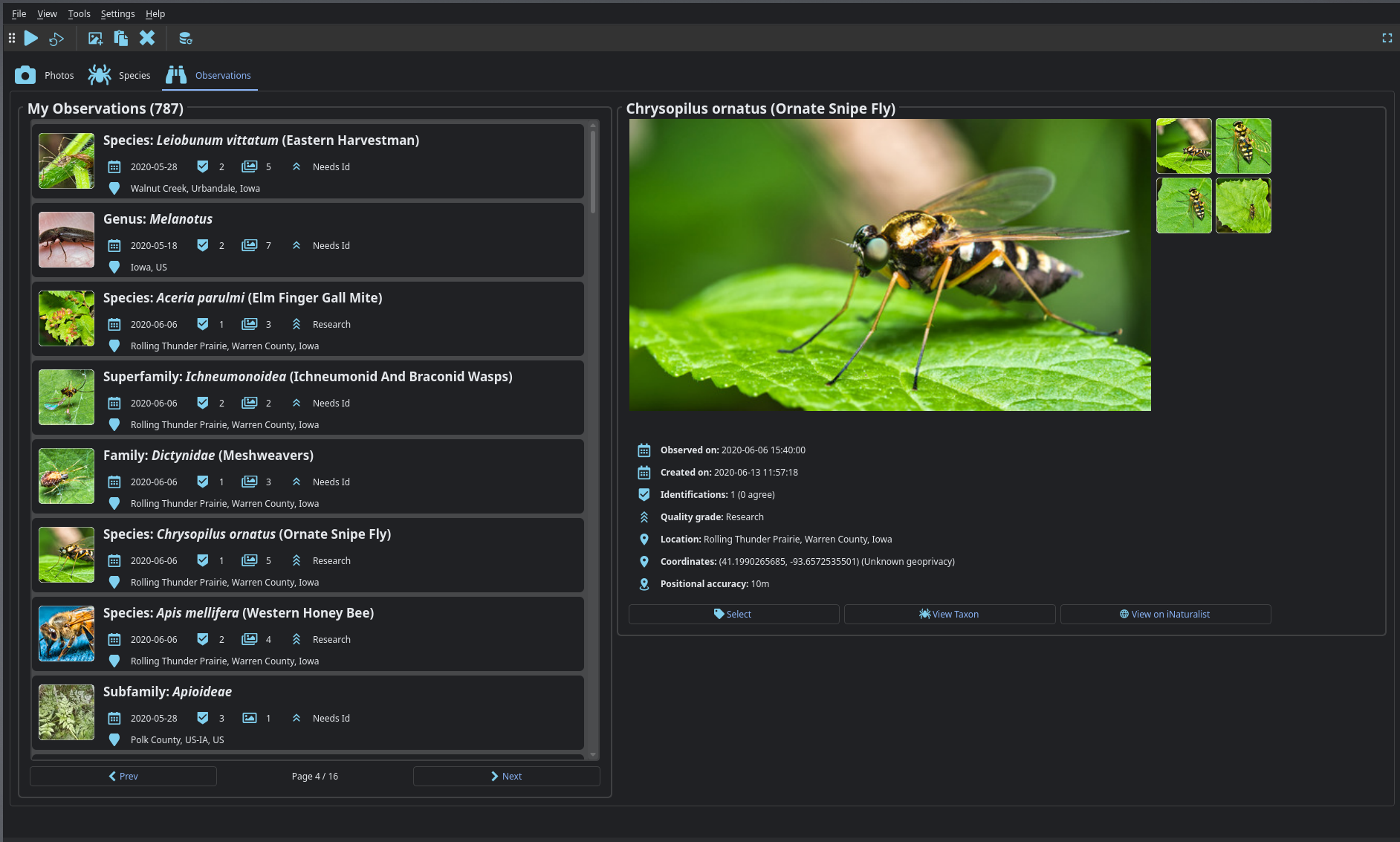 Observation browser interface