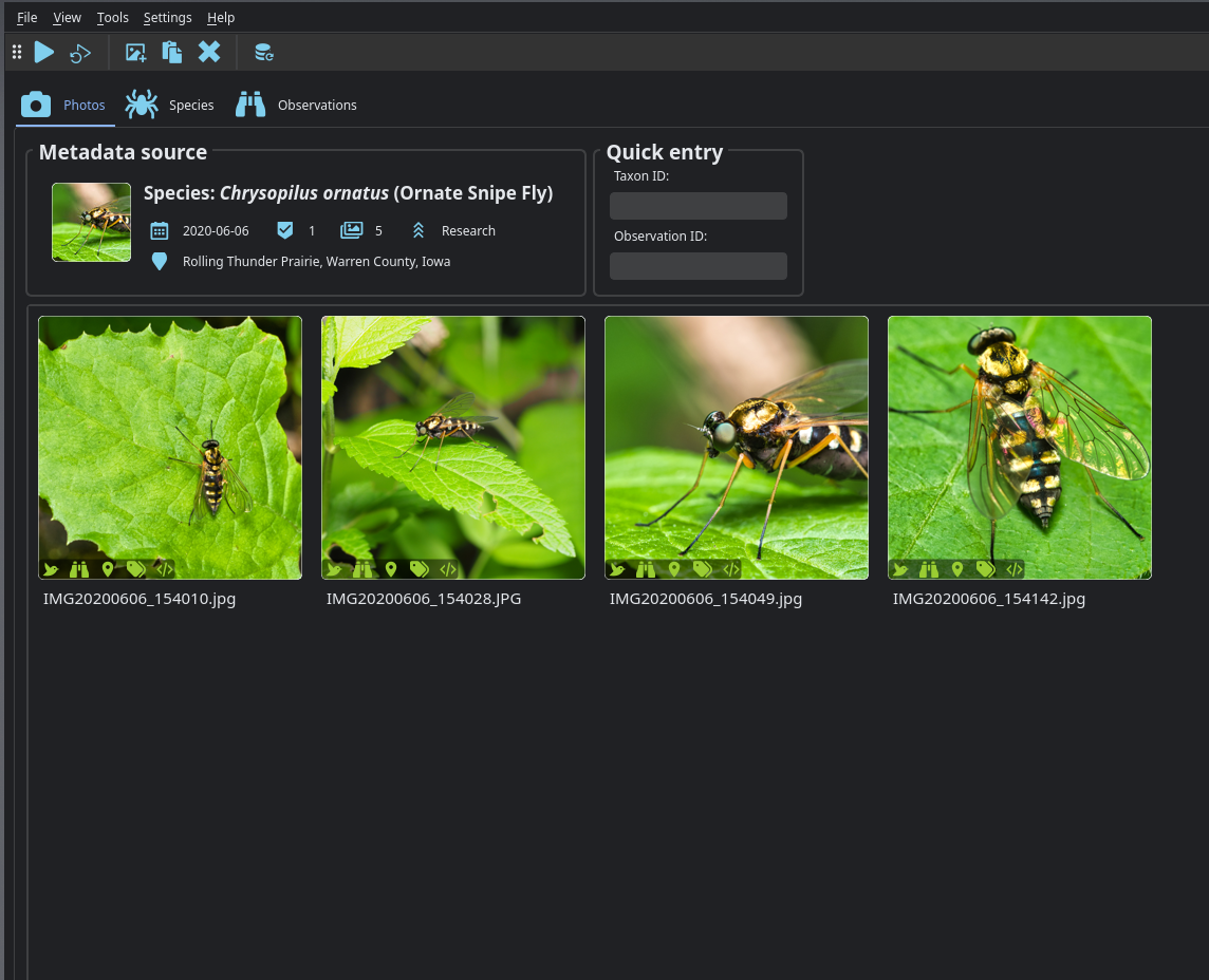 Image selector interface showing file browser and tagged photos