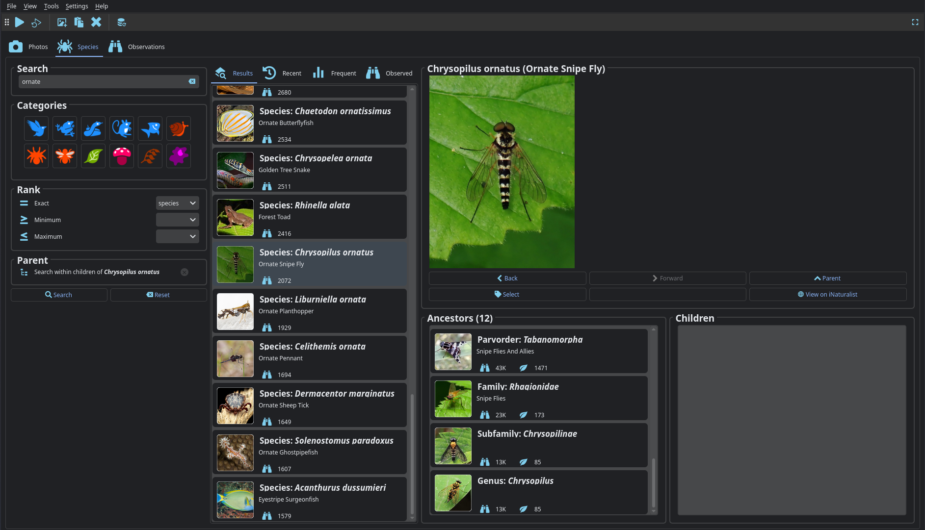 Taxon search interface